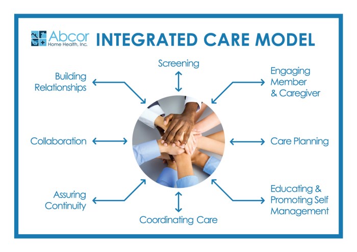 Integrated care nhs support system systems governance supporting journey model plan accountability